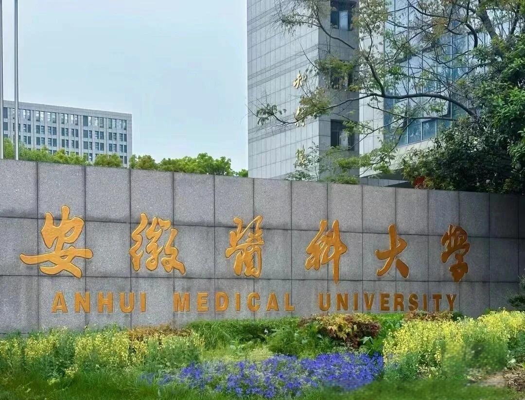 实力护航！热烈祝贺我公司成功承接安徽医科大学新医科中心舞台防火大幕项目